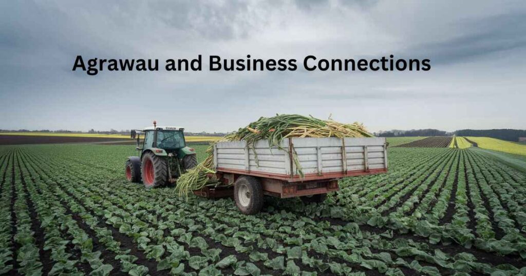 Agrawau and Business Connections