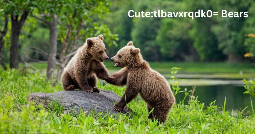 Cute:tlbavxrqdk0= Bears: Nature's Adorable MVPs